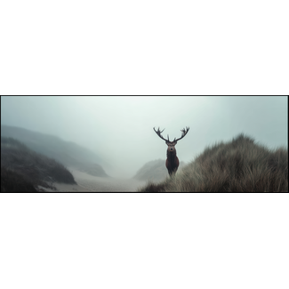 Artframe | Panorama | Edelhert in duinmist | 160x55
