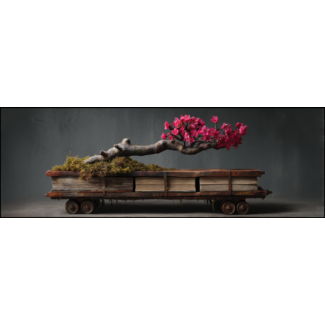 Artframe | Panorama | Bonsai op oude roestige tafel met wieltjes | 160x55