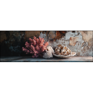 Artframe | Panorama | Koraal in zacht licht als stilleven | 160x55
