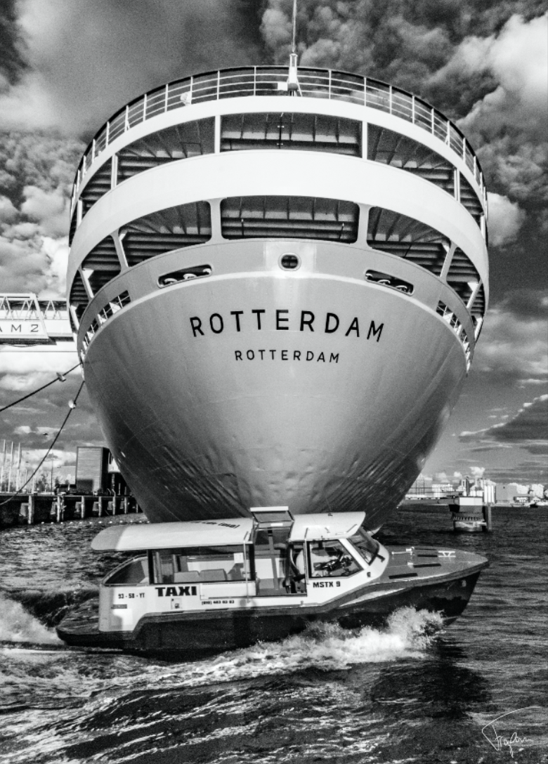 SS Rotterdam Schilderij