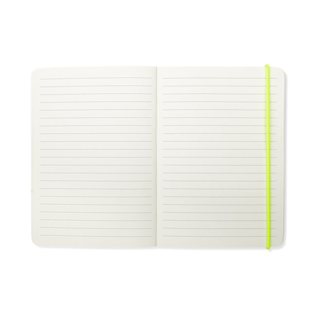 Notebook - Notes of a Genius | Notitieboekje | Hijinx
