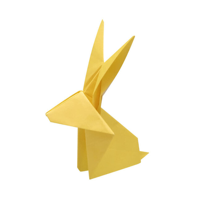 Five minute origami set