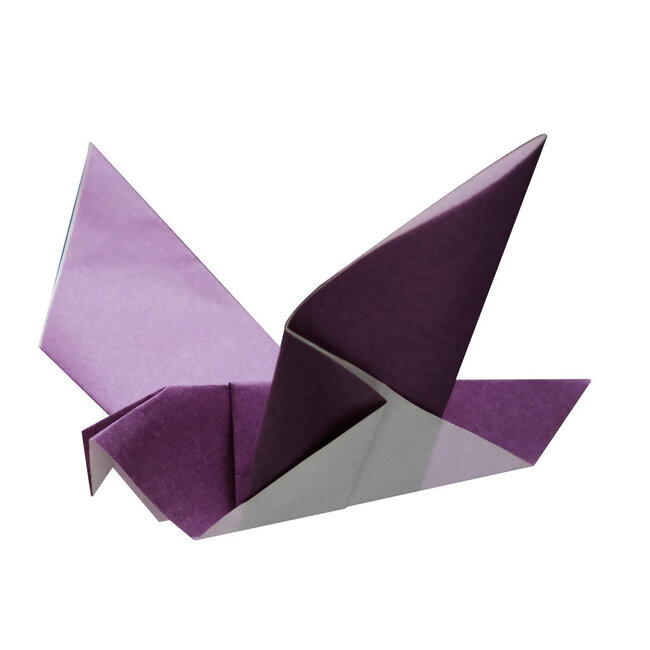 Five minute origami set