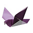 Five minute origami set