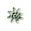 Chive Chive keramieken bloem | Robin's Egg Blue Aurora Water Lily | Ceramic Decorative Flower