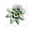 Chive Chive keramieken bloem | Robin's Egg Blue Aurora Water Lily | Ceramic Decorative Flower