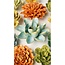 Chive Chive keramieken bloem | Robin's Egg Blue Aurora Water Lily | Ceramic Decorative Flower