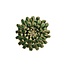 Chive Chive keramieken bloem | Jungle Green Pompom Mum | Ceramic Decorative Flower