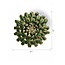 Chive Chive keramieken bloem | Jungle Green Pompom Mum | Ceramic Decorative Flower
