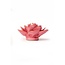 Chive Chive keramieken bloem | Blush Pink Begonia | Ceramic Decorative Flower
