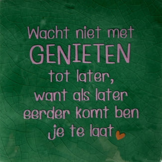 Tegel Wacht niet met genieten hardgroen/warmroze(oranje)