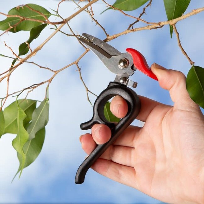 Kikkerland Woodpecker Garden Shears