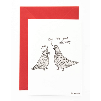 Studio Flash B21 Cool birthday pigeons | Duif