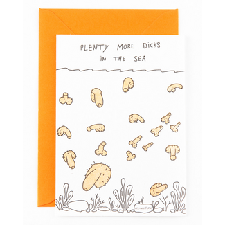 Studio Flash C36 Plenty more dicks in the sea | Break-up | Single