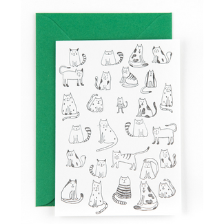 Studio Flash F07 Little cats katten