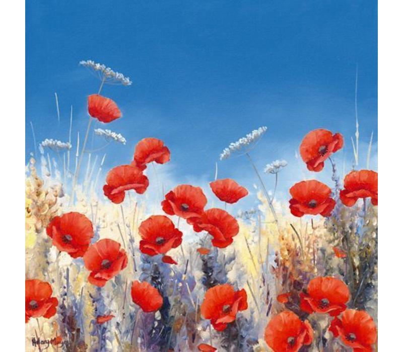 Poppy Meadow I