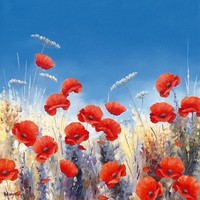 Poppy Meadow I