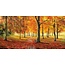Herbstimpression
