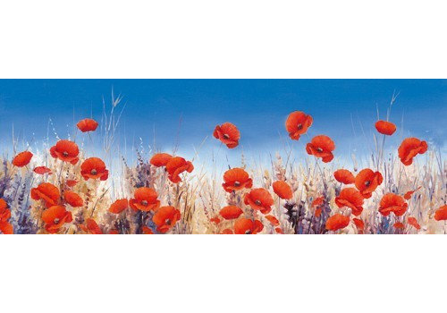 Poppy Landscape