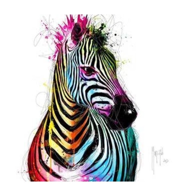Zebra