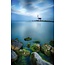 Het Paard langs het Markermeer