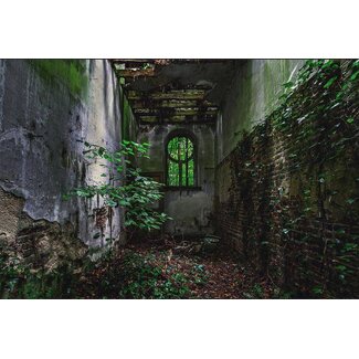 Overgrown alley