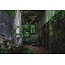 Overgrown alley