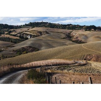 Tuscany Landscape