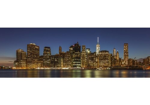 Tuxphotography Brooklyn Bridge en Skyline Manhattan