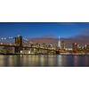 Tuxphotography New York Brooklyn Bridge II