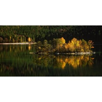 Nature art color III