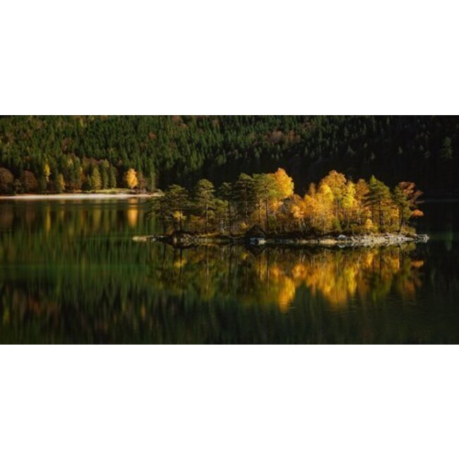 Nature art color III