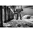 Venice Fishing Pier