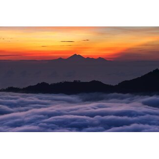 Oriental Sunrise