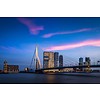 Vincent Fennis The Bridge | Rotterdam skyline