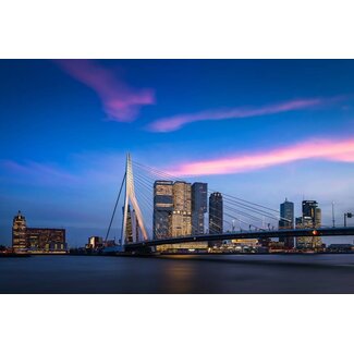 The Bridge | Rotterdam skyline