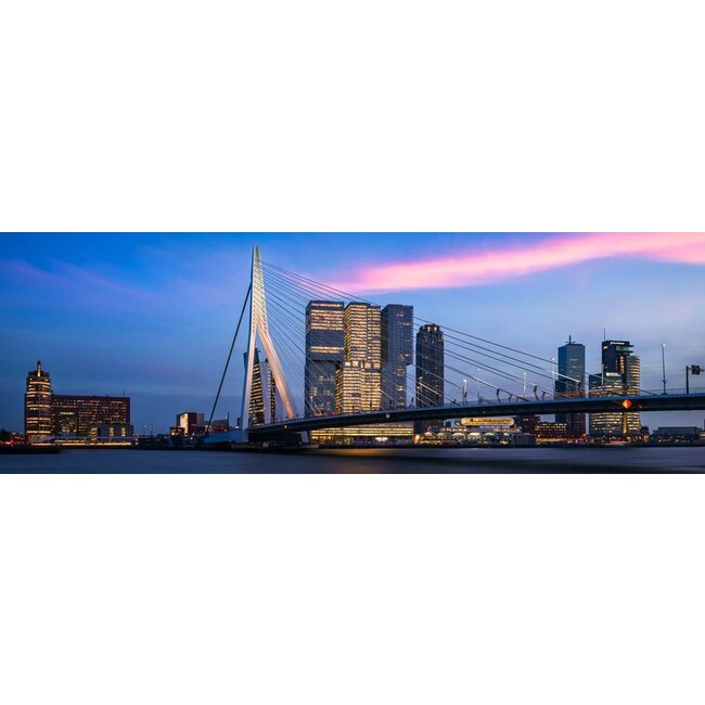 The bridge panorama | Rotterdam skyline