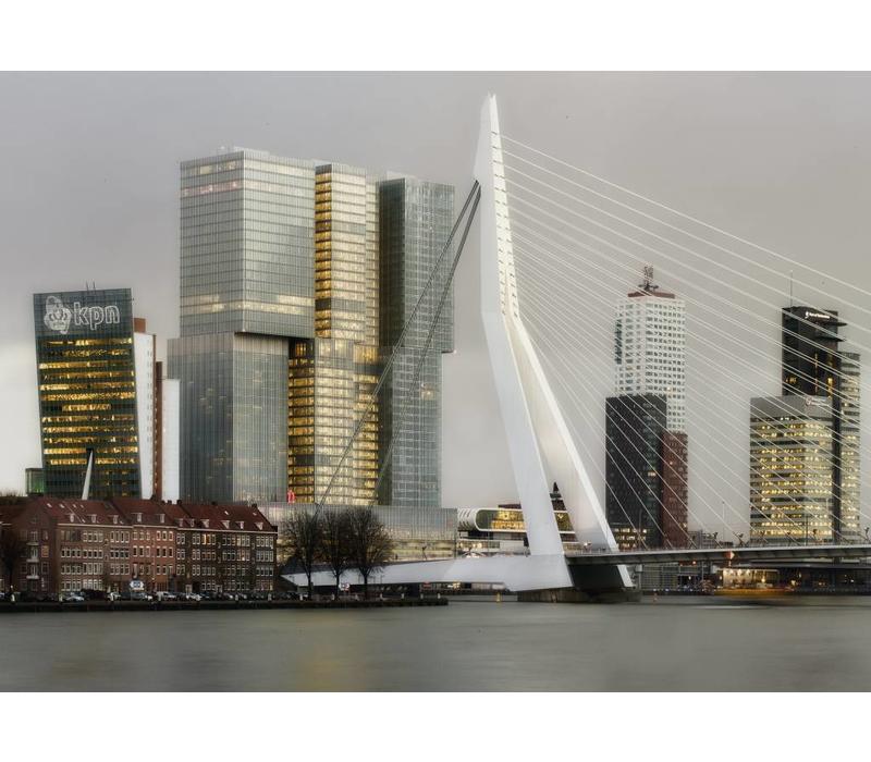 De Erasmusbrug & Kop van Zuid | Fotoprint