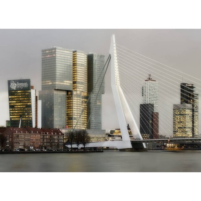 De Erasmusbrug & Kop van Zuid | Fotoprint