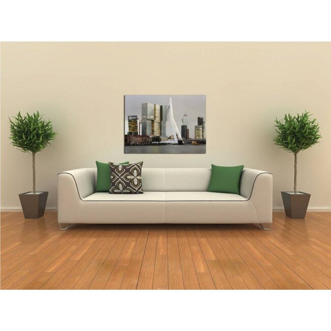 De Erasmusbrug & Kop van Zuid | Fotoprint