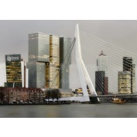 De Erasmusbrug & Kop van Zuid | Fotoprint