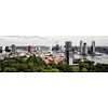 Ben Kleyn Rotterdam day view | Fotoprint