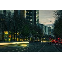 Coolsingel at Night | Fotoprint