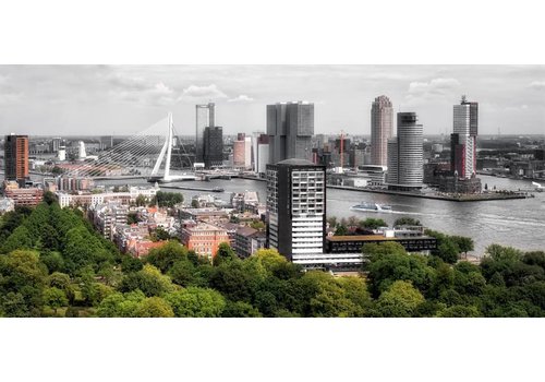 Ben Kleyn The buildings of Rotterdam | Fotoprint