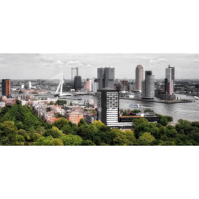 The buildings of Rotterdam | Fotoprint