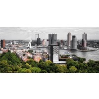 The buildings of Rotterdam | Fotoprint