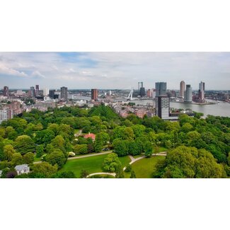 Green Rotterdam | Fotoprint