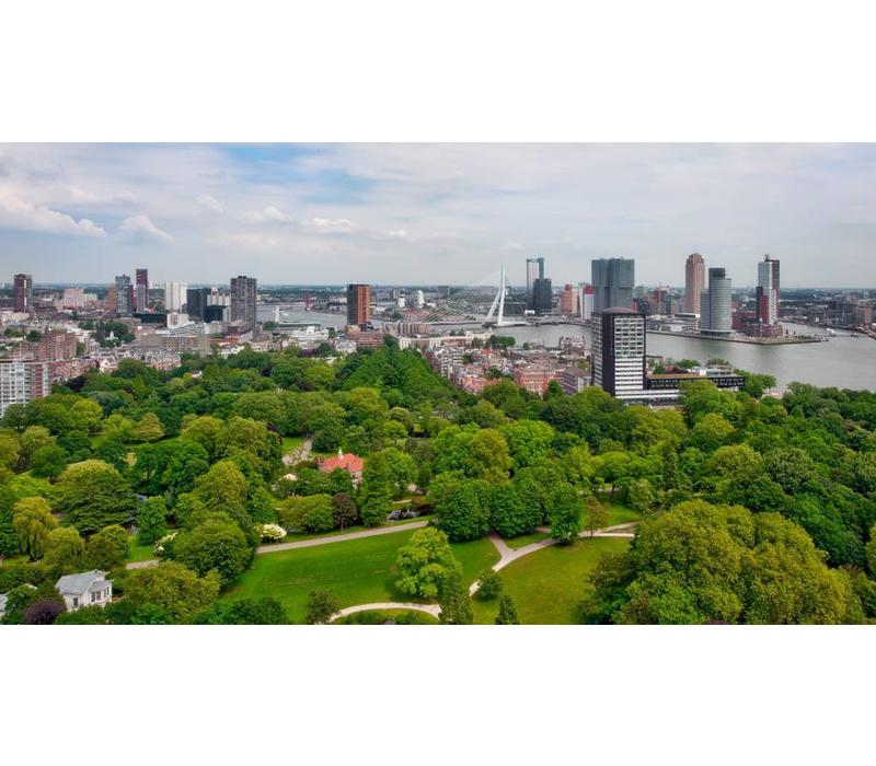 Green Rotterdam | Fotoprint