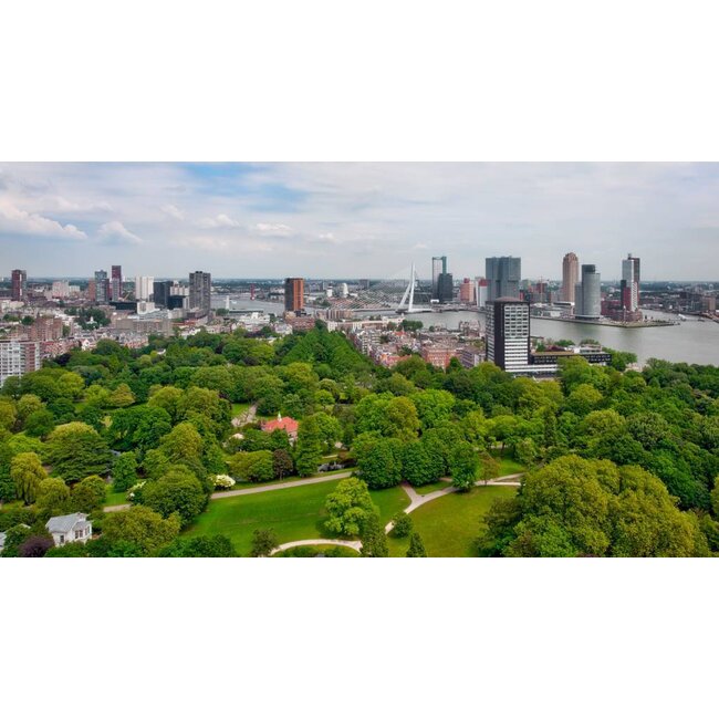 Green Rotterdam | Fotoprint