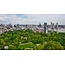Green Rotterdam | Fotoprint